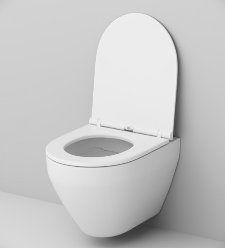 Подвесной унитаз и инсталляция AM.PM Spirit V2.0 IS47051.701700