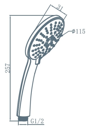 Душевая лейка AM.PM Spirit F0270064