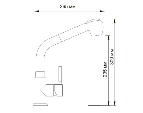Смеситель для кухни WasserKraft Main 4166 хром, выдвижной излив-душ